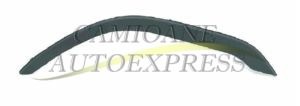 Ornament Aripa Stanga Volvo FH